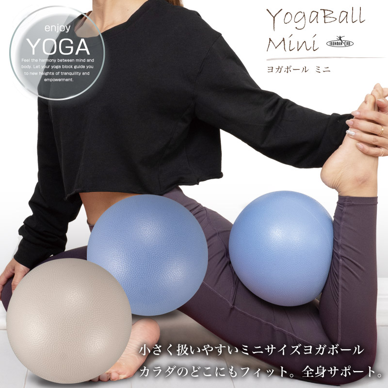 ギムニク　バランスポール7つ 訳あり】バランスボール ギムニク Gymnic 55cm Gymnic Classic