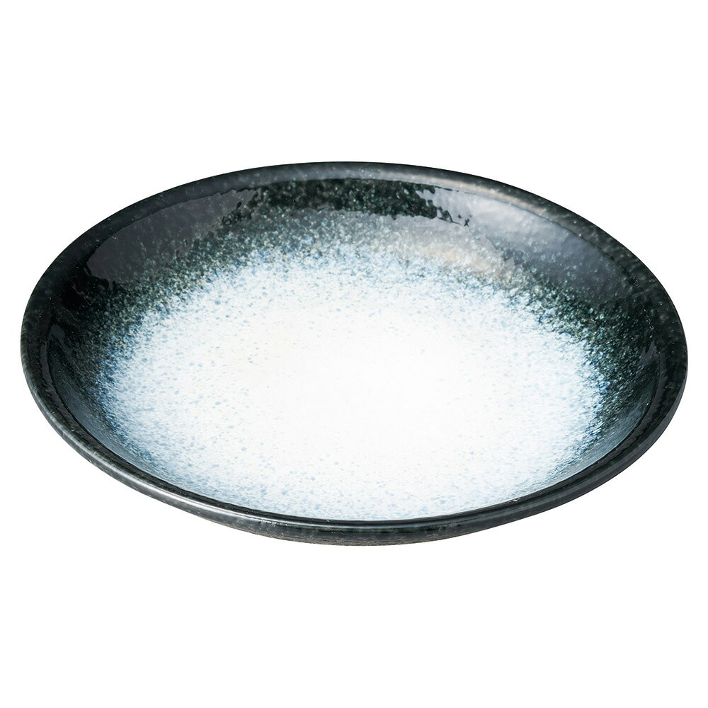 瀬戸焼 雲海 雲海　１０．０大皿 28.8×4.7cm