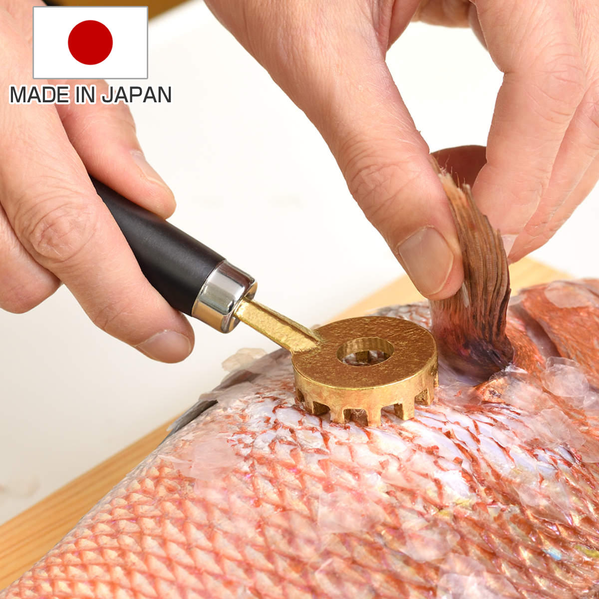 ウロコ取り 大人の焼魚 鱗とり 日本製 （ 鱗取り ウロコ 取り 魚 さばく おろす 台所用品 キッチン用品 燕三条 魚料理 おしゃれ 真鍮製 カバー付き 使いやすい 下ごしらえ ）