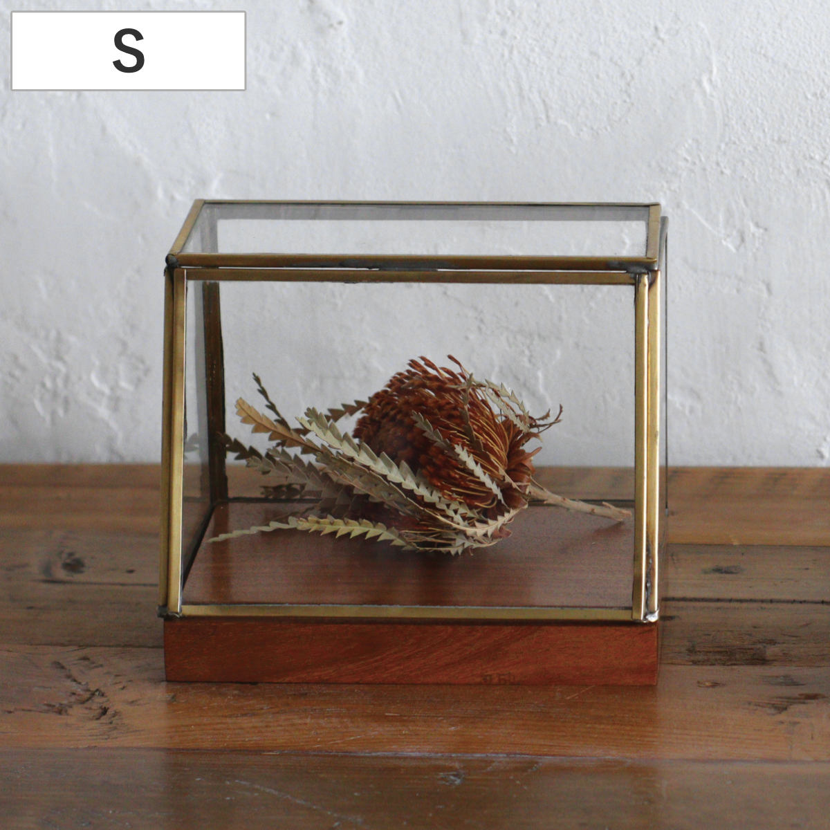 楽天市場】ショーケース アルテン ブラスショーケース L 天然木