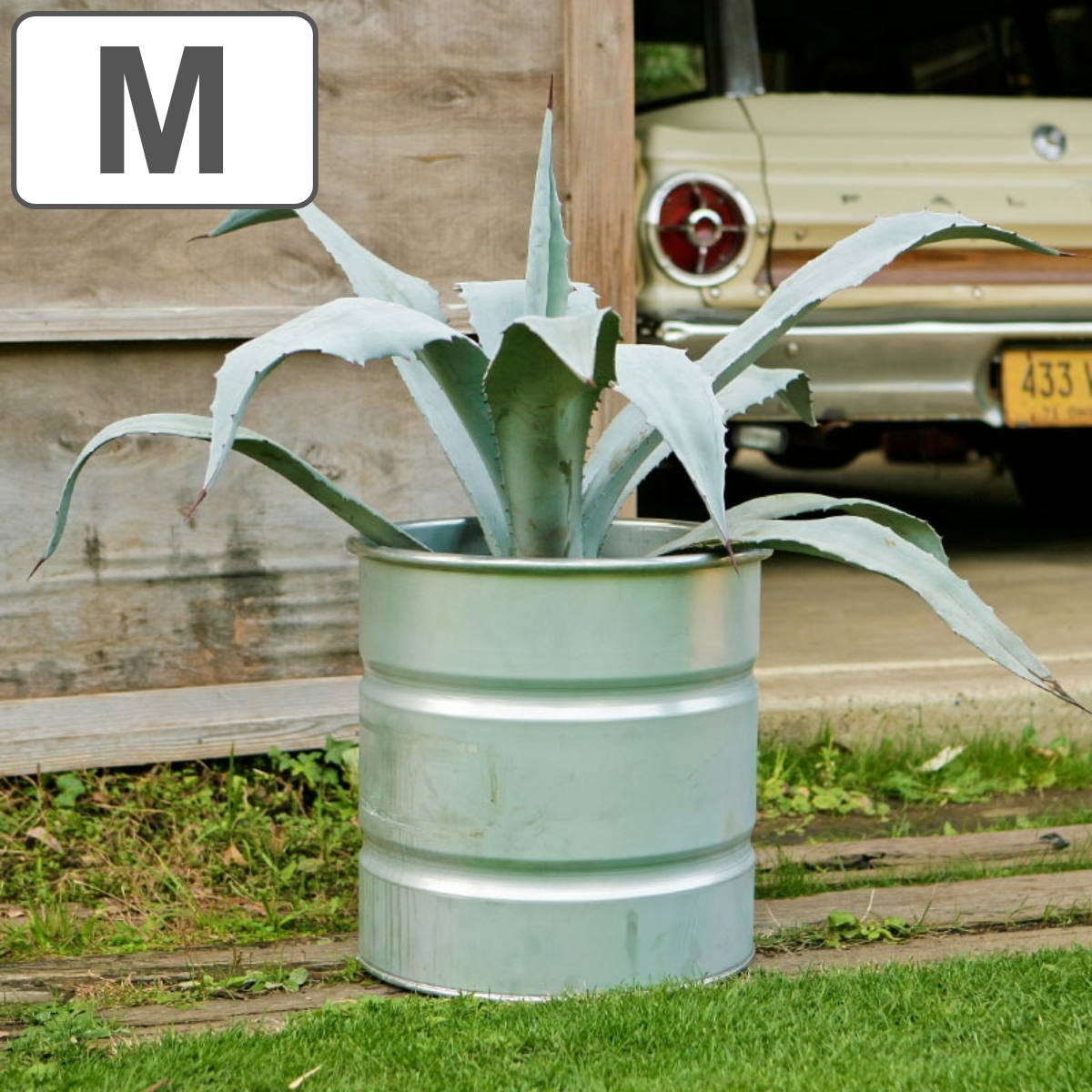 ダルトン 鉢 ガルバナイズド タンク M （ DULTON 鉢カバー ポットカバー 植木鉢カバー 植木鉢 プランター カバー プランターバスケット 円形 筒型 ドラム缶 11号鉢 大型植物 観葉植物 大型 鉢植え 花 収納 小物入れ おしゃれ ）｜リビングート　店 8,833円