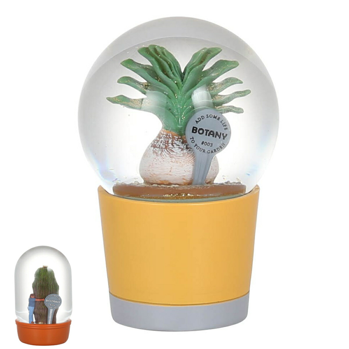 プランツ ウォーター ブーファン カクタスウィズマン ( オブジェ 置き物 ガラスドーム 多肉植物 ダルトン 小物 雑貨 インテリア おしゃれ スノードーム風 飾る かわいい 可愛い 玄関 リビング 卓上 トイレ ニッチ )