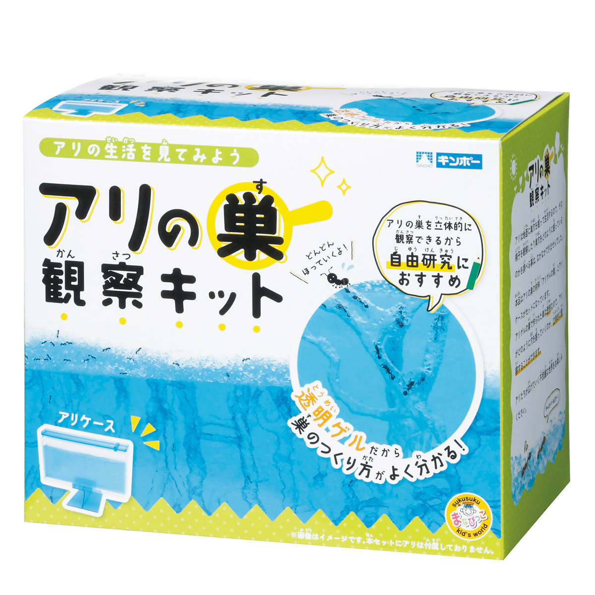 楽天市場】《送料無料》ニチドウ 飼育観察セット アリの巣