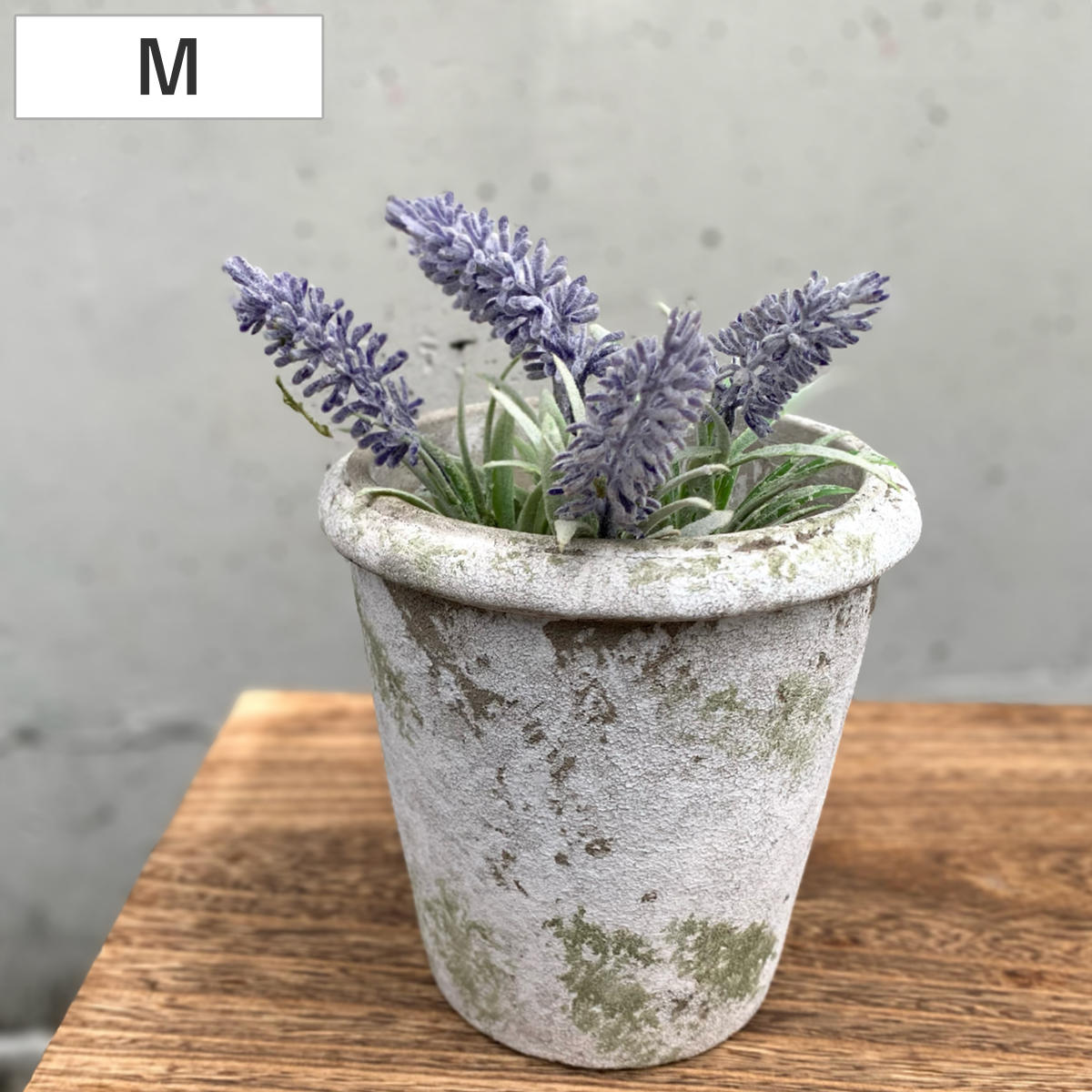 楽天市場】植木鉢 モスティーク M 4号 フラワーポット （ プラント