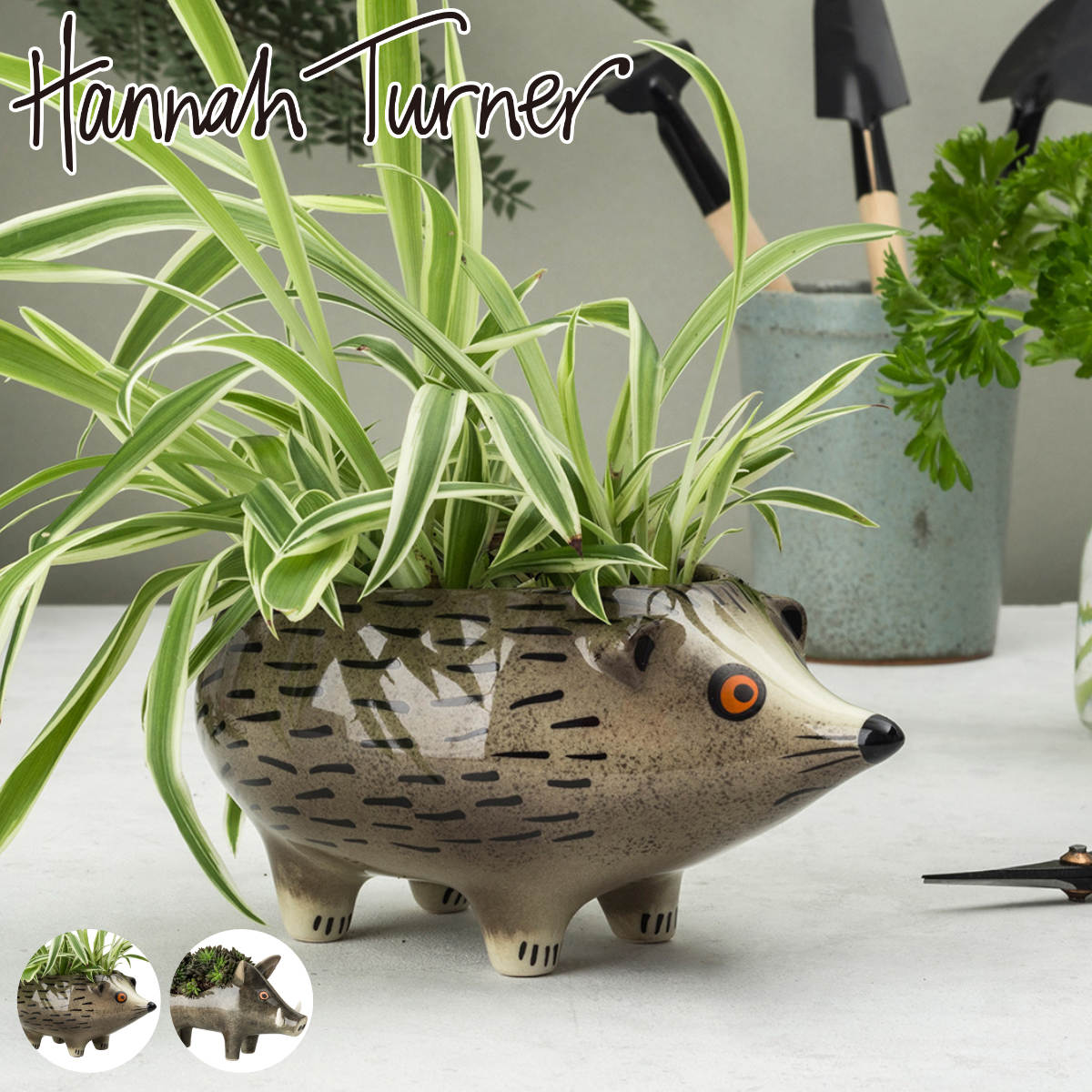プランター Hannah Turner ハリネズミ イノシシ （ ハンナターナー 鉢植え プラントポット ミニポット アニマル 動物 観葉植物 インテリア 多肉植物 植物 ハンドメイド おしゃれ 鍵置き ）