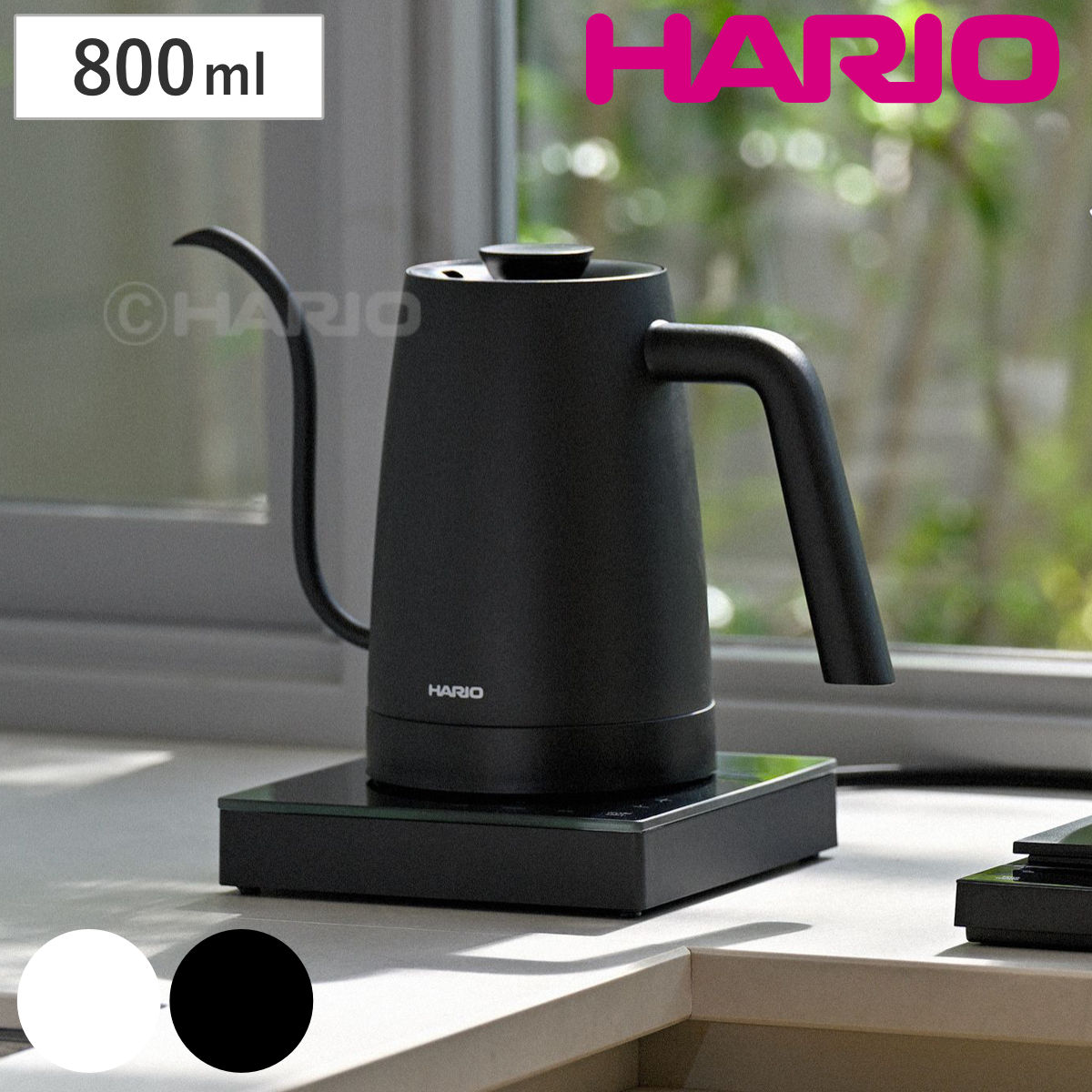 楽天市場】【2000円OFFクーポン】【珈琲豆おまけ付】カリタ 電気ケトル