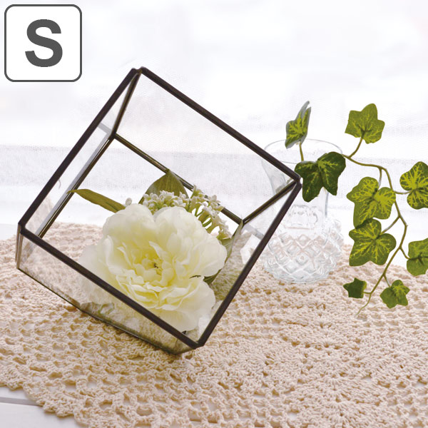 楽天市場】テラリウム トライアングル W ガラス ディスプレイケース