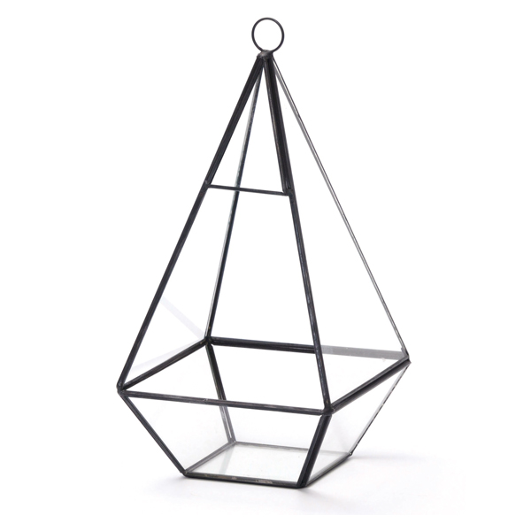 ガラス製　ディスプレイケース　テラリウム 楽天市場】テラリウム スクエア S ガラス ディスプレイケース