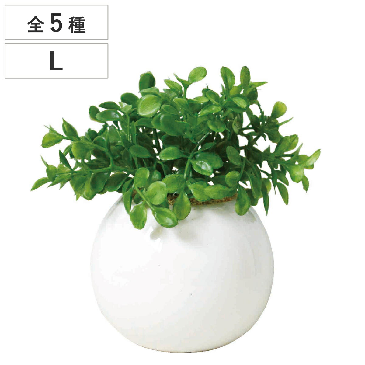 楽天市場】サボテン フェイク 高さ35.5cm 置物 オブジェ ダルトン