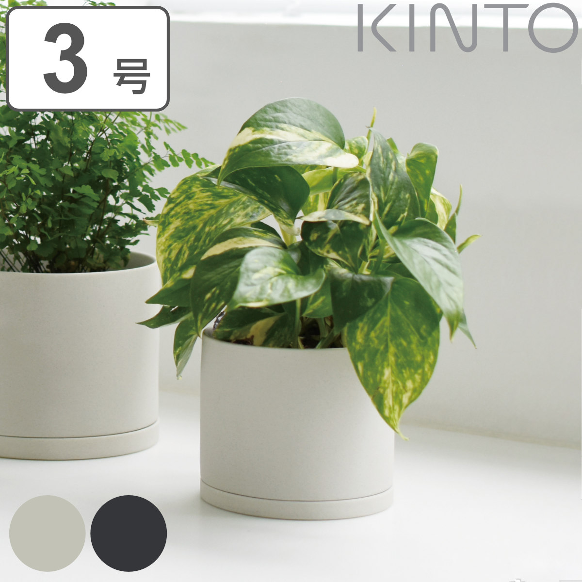 楽天市場】プランター 鉢植え ウェルカムボード ウェルカム