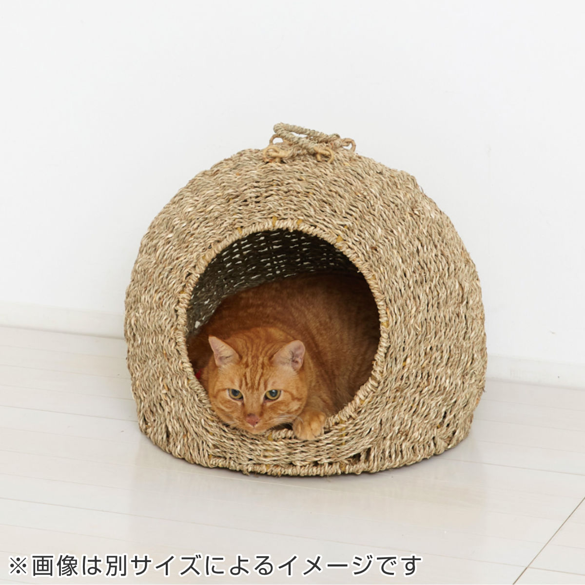 上品】 猫ちぐら L02 agapeeurope.org