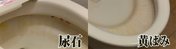 楽天市場 洗剤 茂木和哉 尿石落としジェル トイレ洗剤 掃除 洗浄 尿石 黄ばみ 落とし 清掃 トイレ 用品 掃除 便器 ジェル 高粘度 尿石 取り 除去 よごれ 汚れ 落とし リビングート 楽天市場店