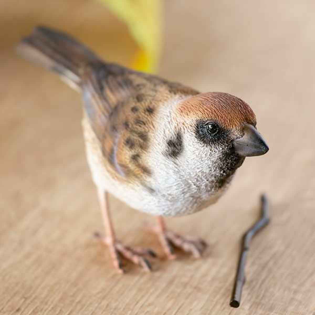 楽天市場】オブジェ BIRDIE BILL 文鳥 マグネット付き （ 置き物
