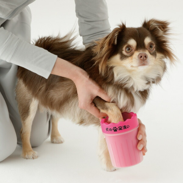 イヌの交通システム洗 犬 愛玩動物費え品 足洗いマグ 足洗い毛はらい 足洗い用カップ 足渫う ヘドロ落とし 足洗料 ケイ素樹脂ブラシ 獣肉球形 肉球ブラシ 洗浄 うろうろ 足 渫う Foxunivers Com