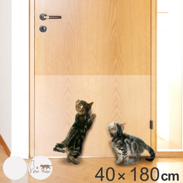 楽天市場】ツメ傷保護シート 45cm×90cm 貼ってはがせる （ 壁 保護