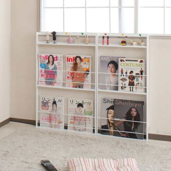 超薄型 壁面収納 ミニマガジンラック 幅45cm （ 送料無料 本棚
