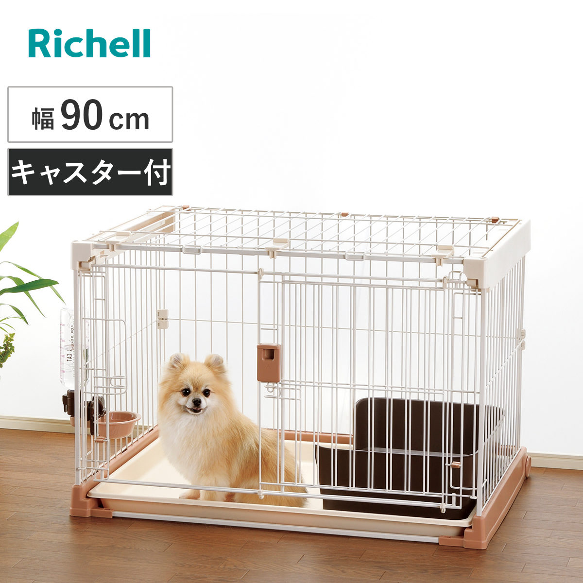 コツを押さえて生乾きを防ぐ！お座敷干し特集