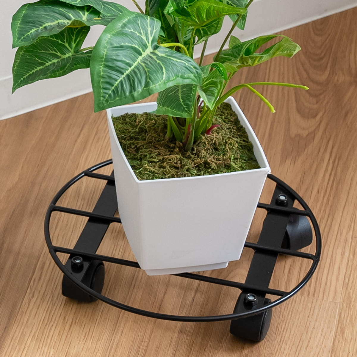 楽天市場】フラワースタンド ミニテーブルスタンド M （ 花台 鉢