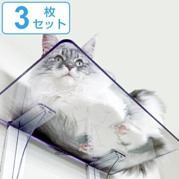 コツを押さえて生乾きを防ぐ！お座敷干し特集