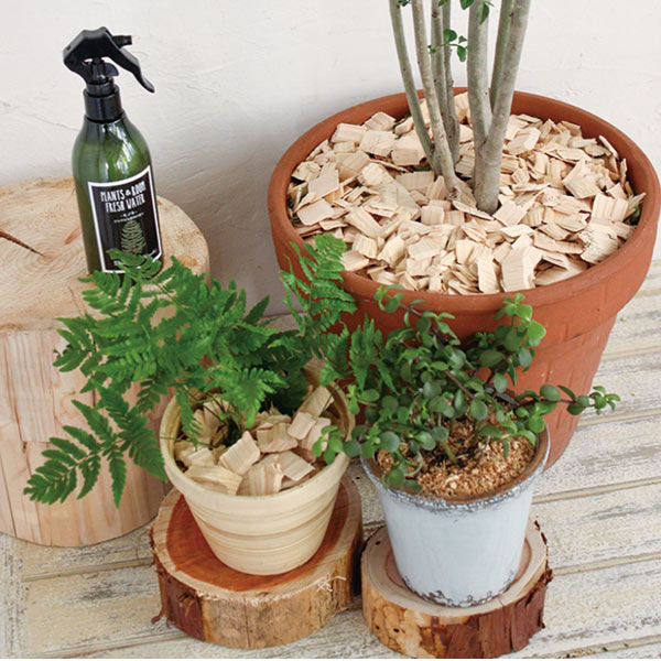 楽天市場 消臭 ヒノキ Hinoki Chips チップ 1l ウッドチップ 土かくし ガーデニング 天然木曽ヒノキ 観葉植物 檜 ひのき リビングート 楽天市場店