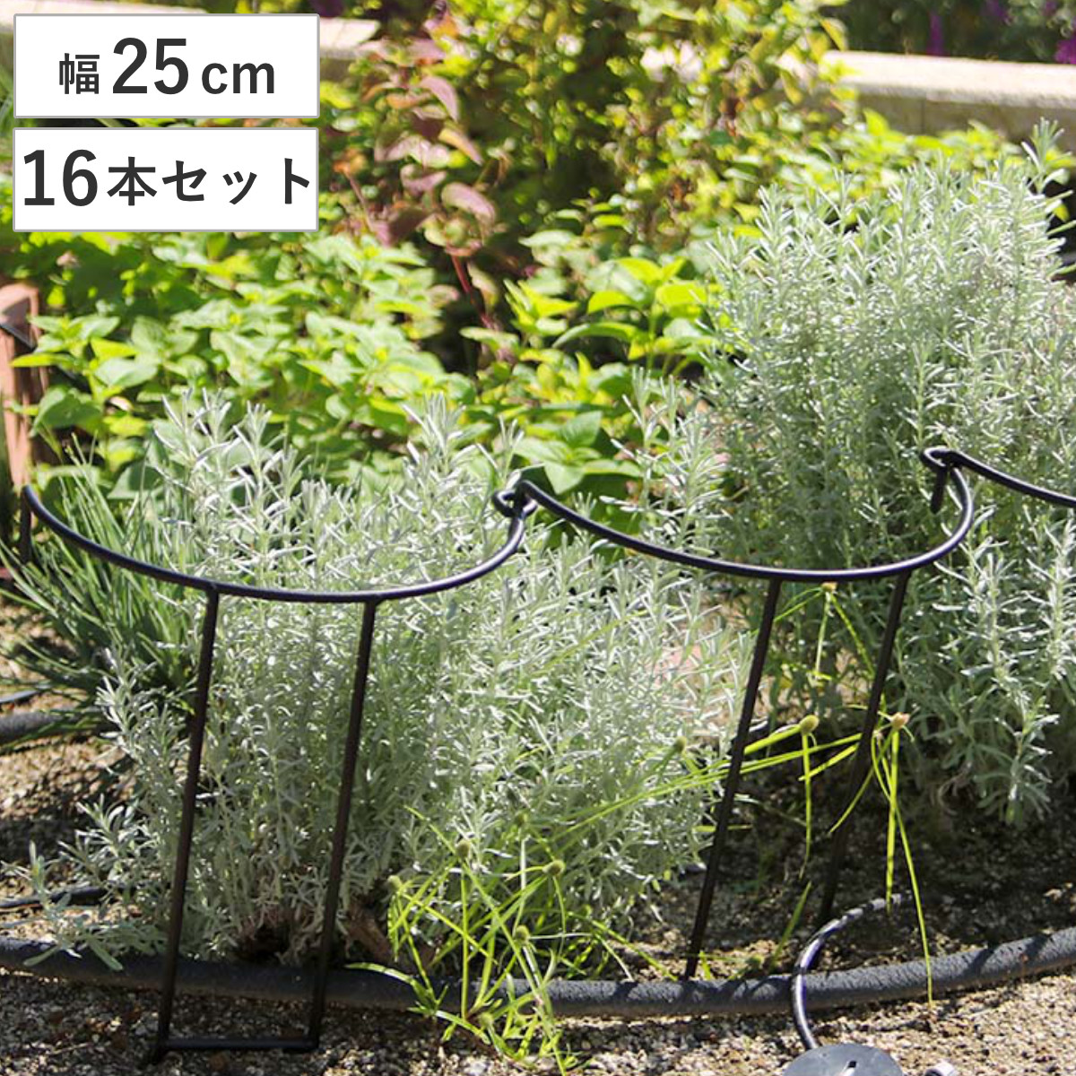 アイアン製植物サポーター幅25 16本セット （ 支柱 フラワースタンド 花壇 花 植物 支える サポーター 囲い アイアン 仕切り ガーデン サポート アイアンスタンド 屋外 花スタンド フラワーサポート 倒れ防止 連結 上部 ）｜リビングート　店