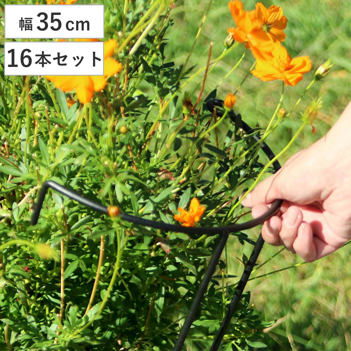 アイアン製植物サポーター幅35 16本セット （ 支柱 フラワースタンド 花壇 花 植物 支える サポーター 囲い アイアン 仕切り ガーデン サポート アイアンスタンド 屋外 花スタンド フラワーサポート 倒れ防止 連結 上部 ） 10,224円