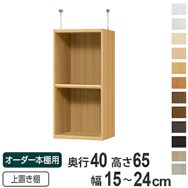 専用 上置き棚 標準棚板 type65 オーダー本棚 奥行40cm 幅15-24cm用 （ 送料無料 オーダーメイド 天井つっぱり 本棚 多目的ラック セミオーダー ）