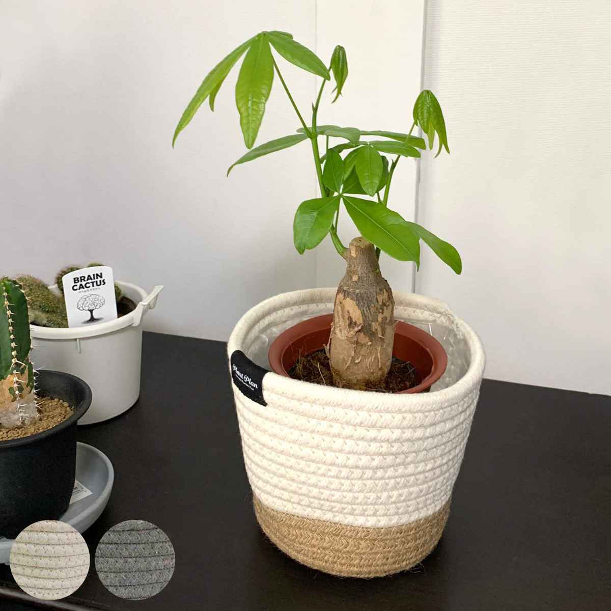 楽天市場】鉢カバー プランターカバー ジュート ミニポットカバー