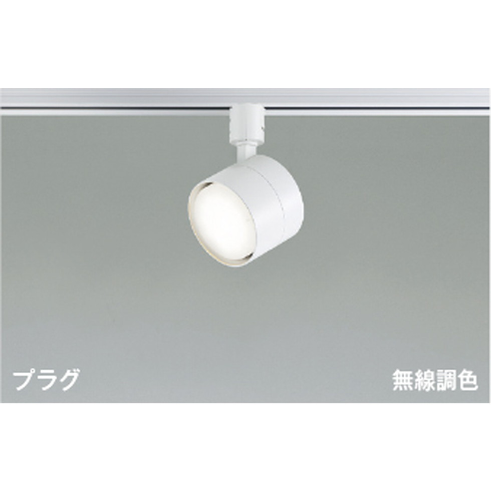 コイズミ[AS56299]注目の的