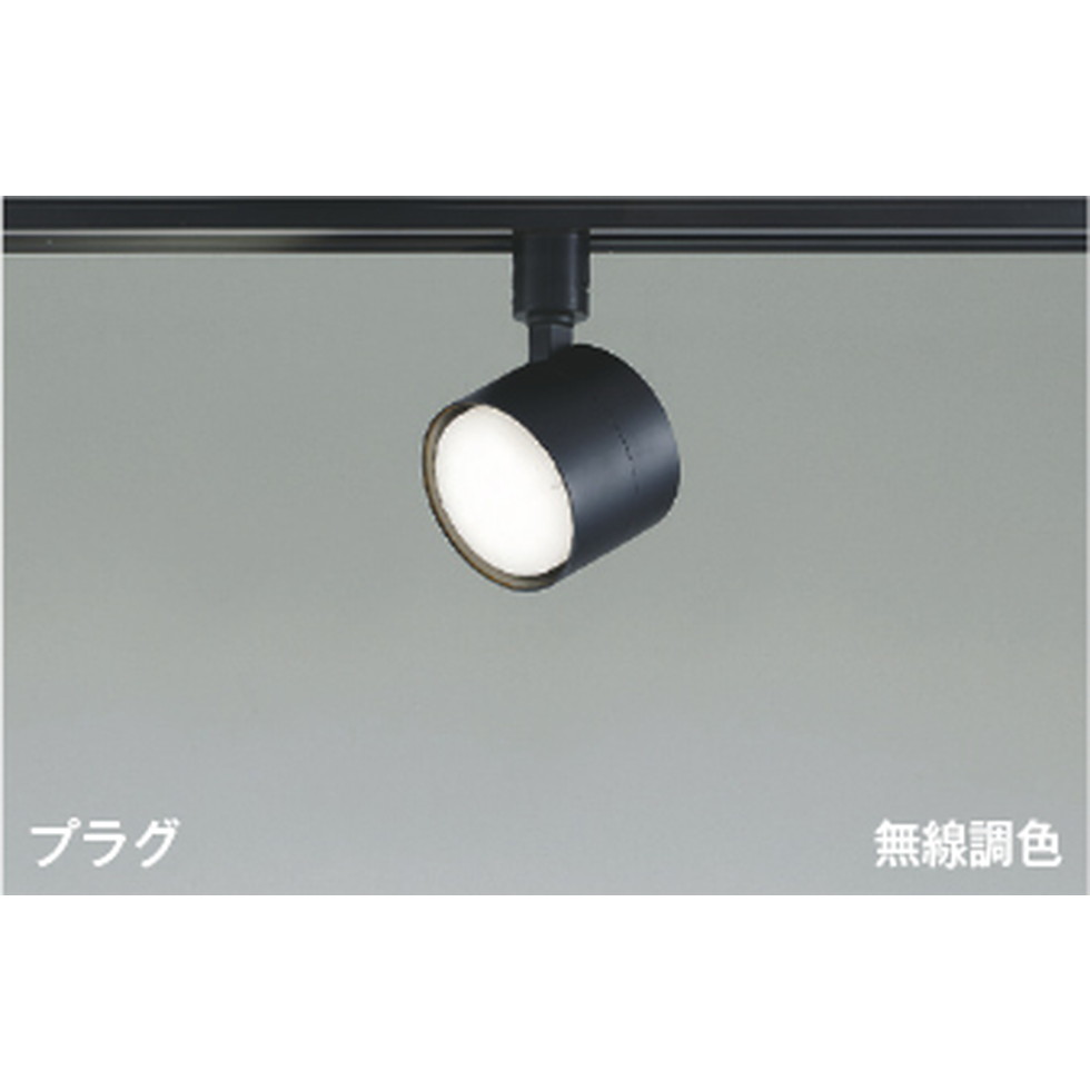 コイズミ[AS56300]注目の的