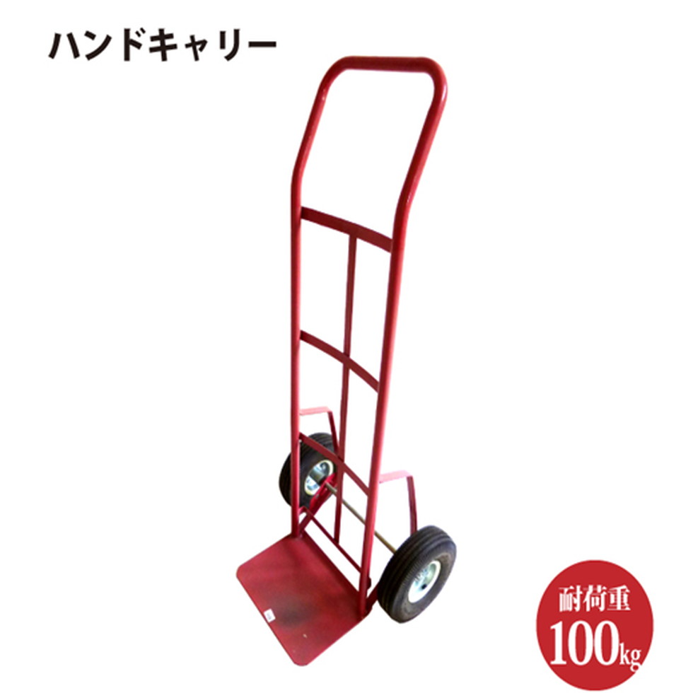 シンセイ[HT2034]ハンドキャリー