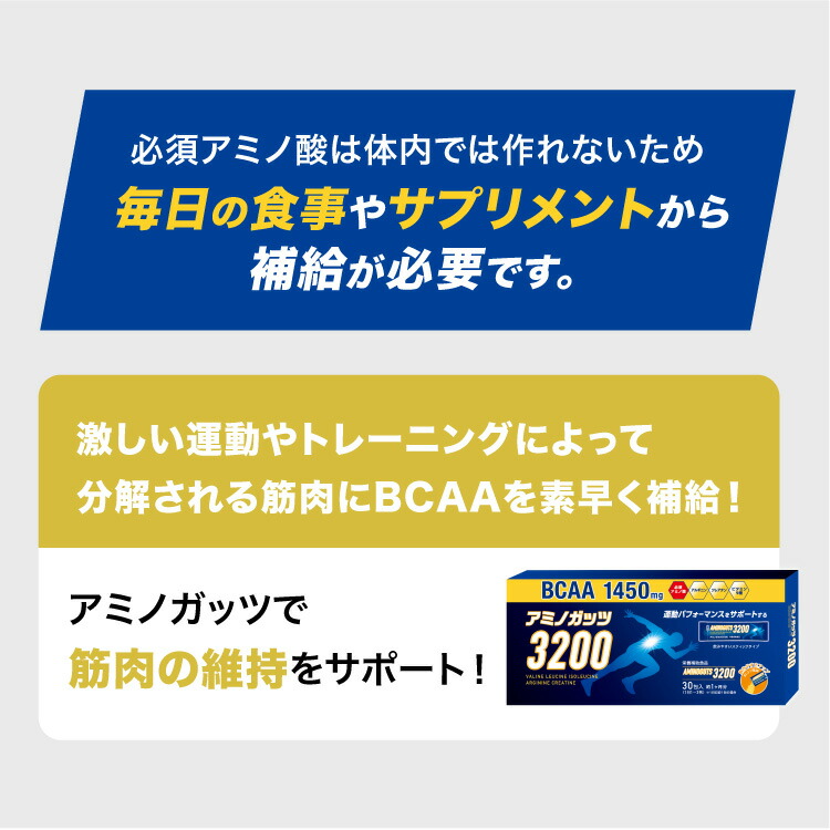 アミノガッツ 3200 BCAA 運動 必須アミノ酸 4.2gx30包×10箱 アミノガッツ3200 ( 30包 )/ リブラボラトリーズ : 爽快ドラッグ