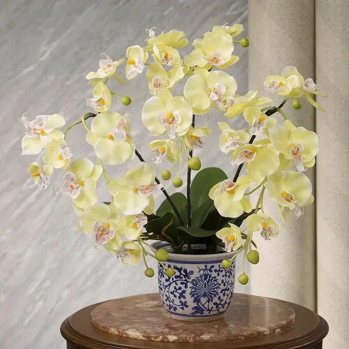 磁器の鉢に入った胡蝶蘭（光触媒）金運の黄色　人工観葉植物【メーカーよりの直送品の為、キャンセル不可、他の商品との同梱不可】