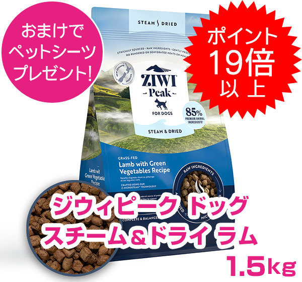 楽天市場】【10日限定エントリー＆抽選でP100％＋クーポン有