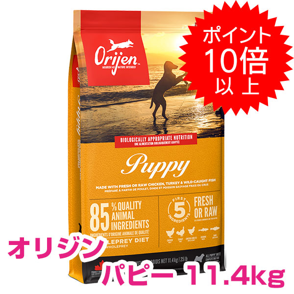 【15日P13倍以上最大限度100％Pうしろ側】引き換え証付要エントリー 開びゃく パピー 11.4kg ドッグフード 【貨物輸送無料】 ORIJEN 【置き目品】 1500円OFF引き換え証離れ離れ中!
