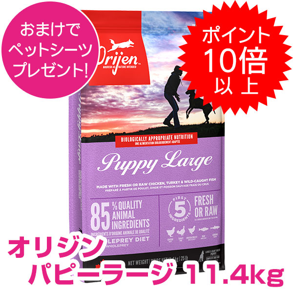 楽天市場】オリジン パピーラージ 11.4kg (正規品) ドッグフード 大型