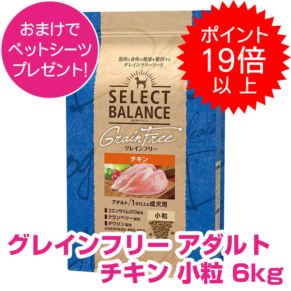 楽天市場】【15日P22倍以上最大100％Pバック】クーポン付要エントリー