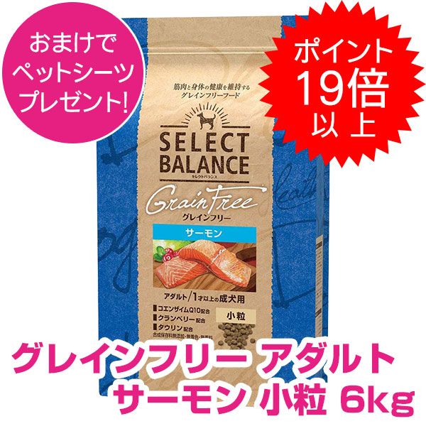 【10日P23倍以上最大限度100％Pうしろ側】クーポン券付要エントリー より分ける平衡にする グレインフリー 成年者 秋味 微粒子 6kg SELECT BALANCE ドッグフード 1才以上の成犬用 犬用 【置き目品】