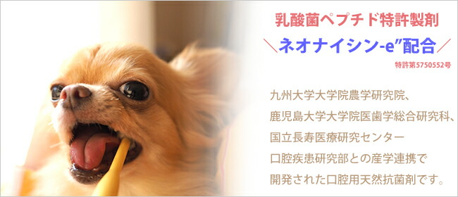 楽天市場 オーラルピース フォーペット マウススプレー ウォッシュ Oralpeace For Pet ペット用歯周病ケアスプレー 歯磨き 犬 ペット 口臭予防 舐めても安心な特許成分 ネオナイシン で愛犬の歯周病を簡単ケア ロアジス ナチュラル Pet Life