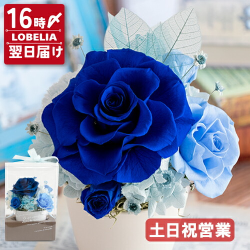 楽天市場】ガラスドーム ハート ダイヤモンドローズ プリザーブド