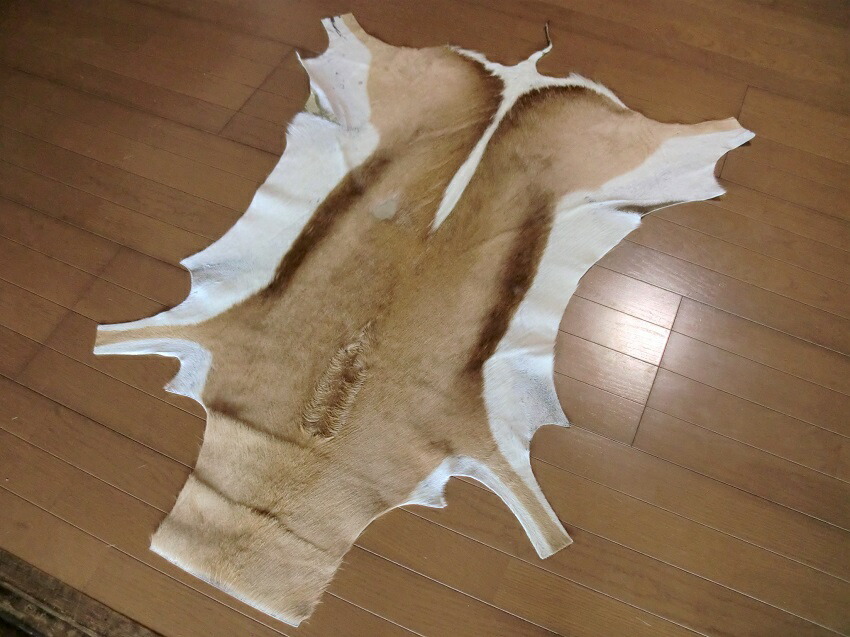 楽天市場】ゼブラ敷物 約280×225cm シマウマ ゼブラ柄 毛皮 壁掛