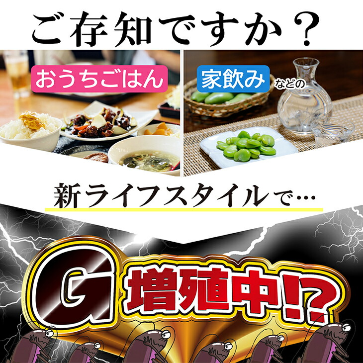 あす楽対応 ゴキブリ駆除剤 業務用 医薬部外品 ゴキちゃん グッバイプラス 6個入り 40個 計240個 ゴキブリ一家掃滅 プロの経験が生んだ家庭用サイズの本格派 連鎖効果でゴキブリ完全撃退 Smtb S Prescriptionpillsonline Is