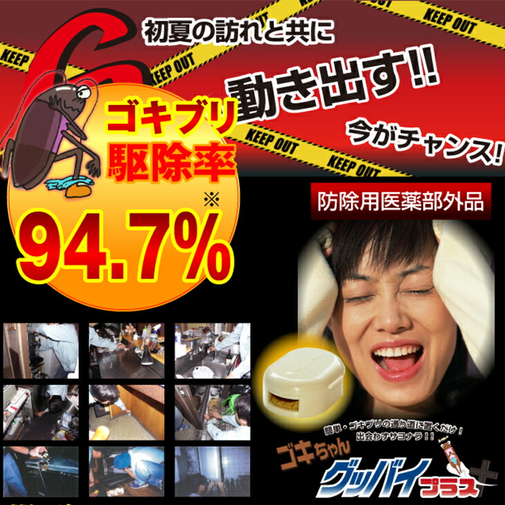 あす楽対応 ゴキブリ駆除剤 業務用 医薬部外品 ゴキちゃん グッバイプラス 6個入り 40個 計240個 ゴキブリ一家掃滅 プロの経験が生んだ家庭用サイズの本格派 連鎖効果でゴキブリ完全撃退 Smtb S Prescriptionpillsonline Is