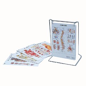 学習机大きさ専用一覧表(SR-416)【smtb-s】