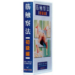 DVD・筋触察法(初級編)(SM-236)【smtb-s】