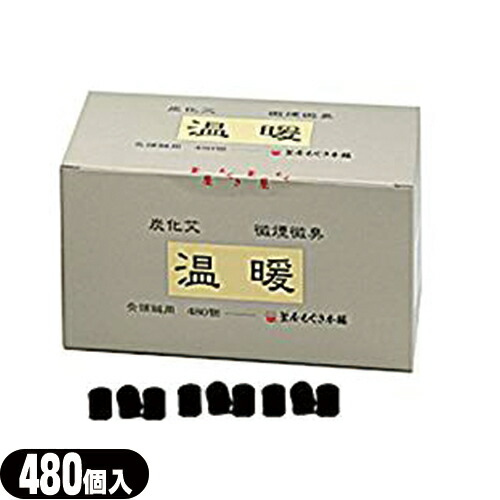 (カマヤ)温暖(灸頭鍼(きゅうとうしん)用) 480個入 (699025)