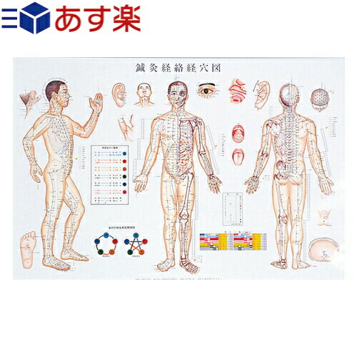 楽天市場 あす楽対応 鍼灸経路経穴図 鍼灸経絡系穴図 しんきゅうけいろけいけつず ポスター Sr 412 健康美容用品専門店frontrunner