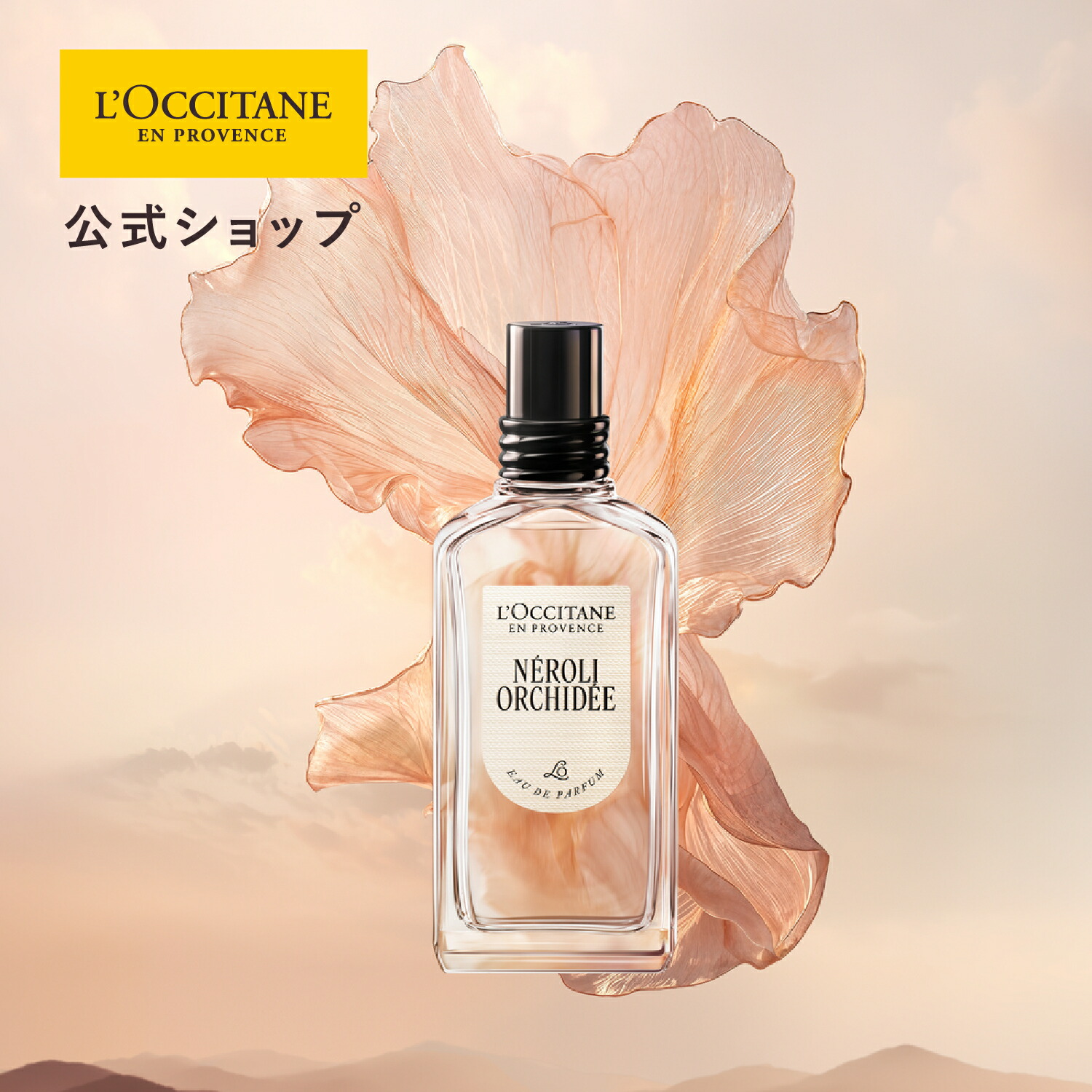 百貨店SALE 6月4日(木)20:00～6月11日(木)01:59