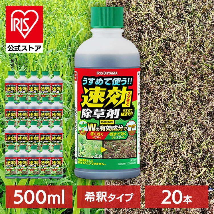 探し回る