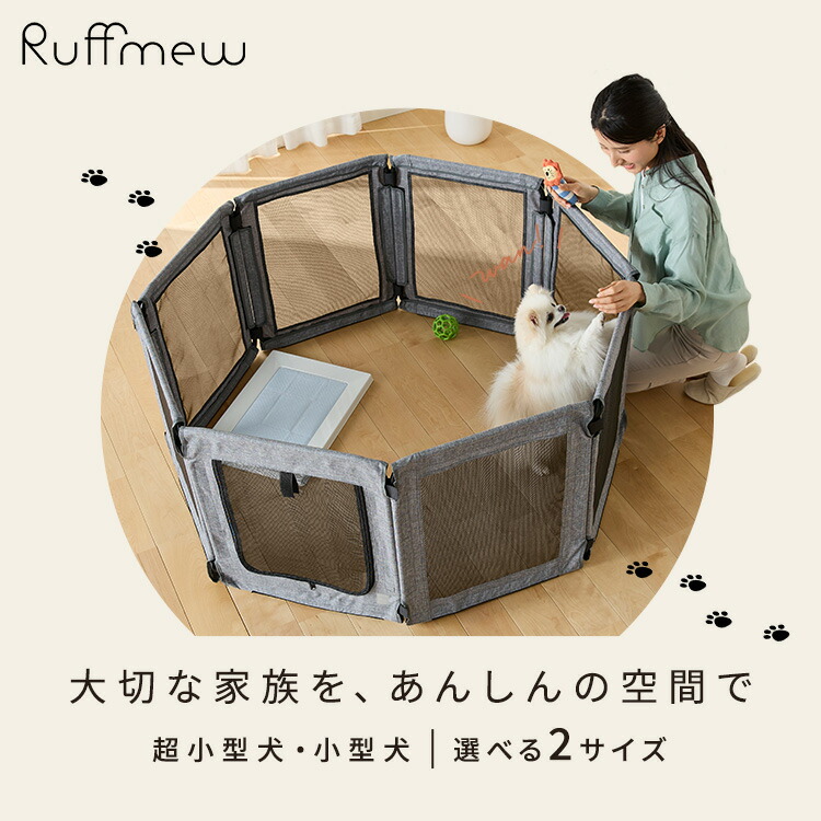 探し回る